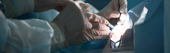 전문성과 개별화된 진료